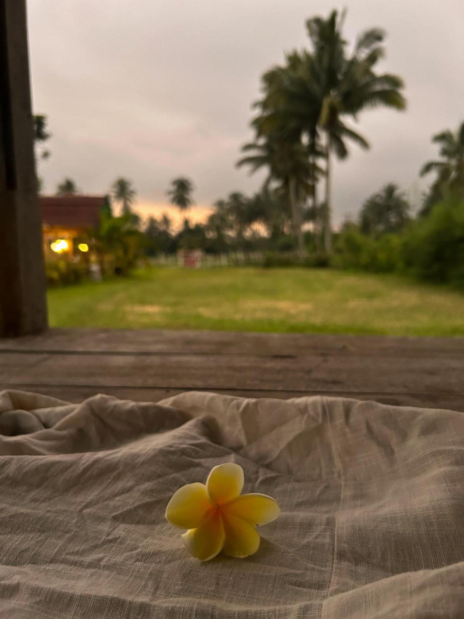 Linkgreen Homestay Lombok Tetebatu Exteriör bild