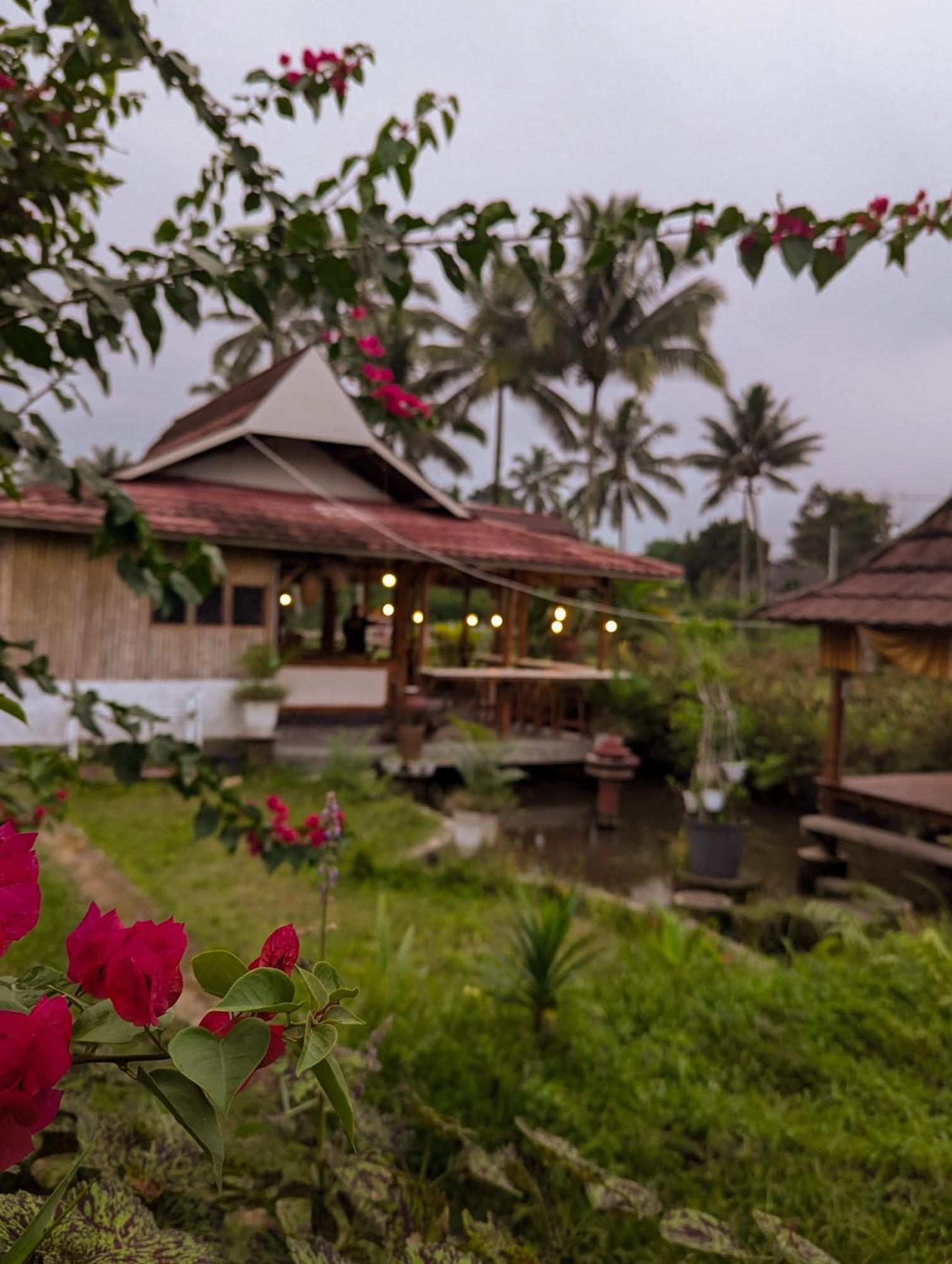 Linkgreen Homestay Lombok Tetebatu Exteriör bild