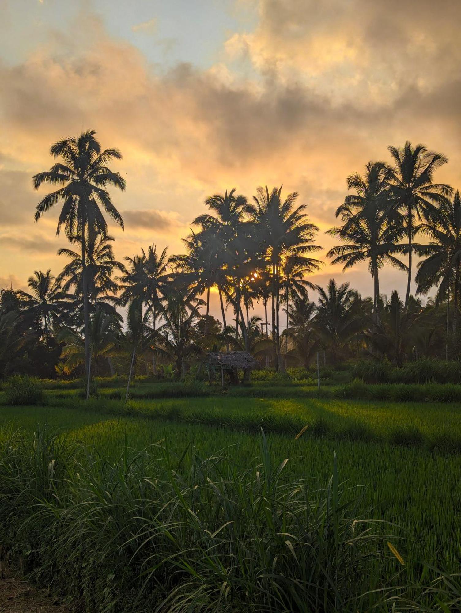 Linkgreen Homestay Lombok Tetebatu Exteriör bild