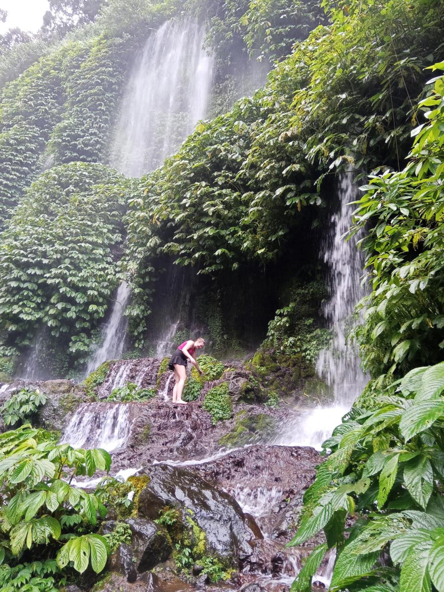 Linkgreen Homestay Lombok Tetebatu Rum bild