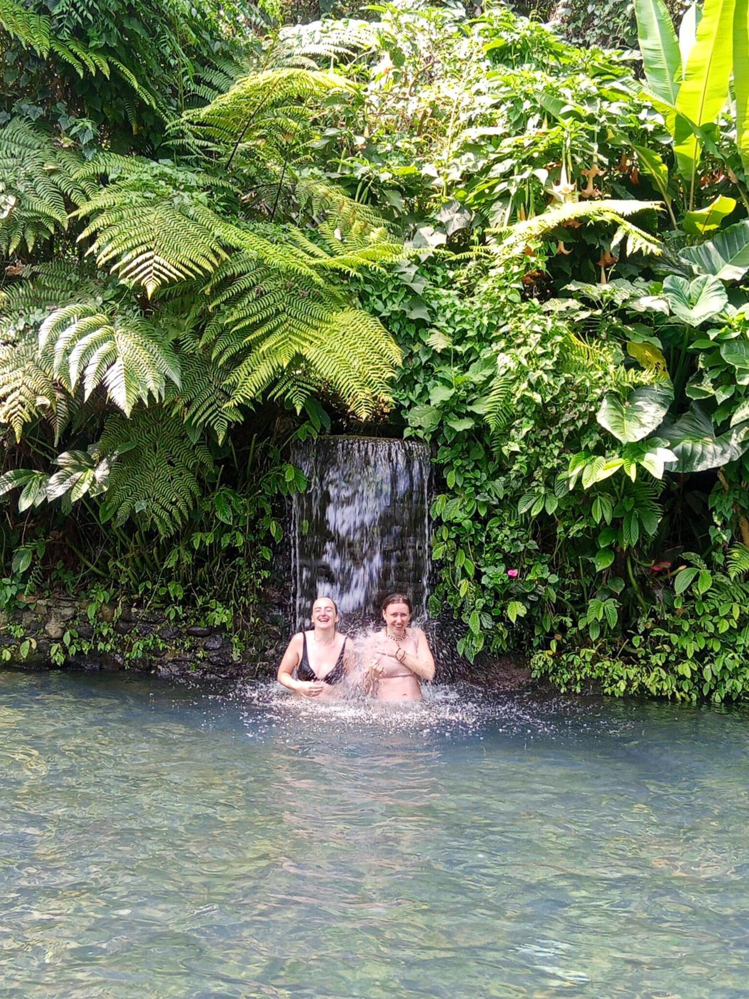 Linkgreen Homestay Lombok Tetebatu Rum bild