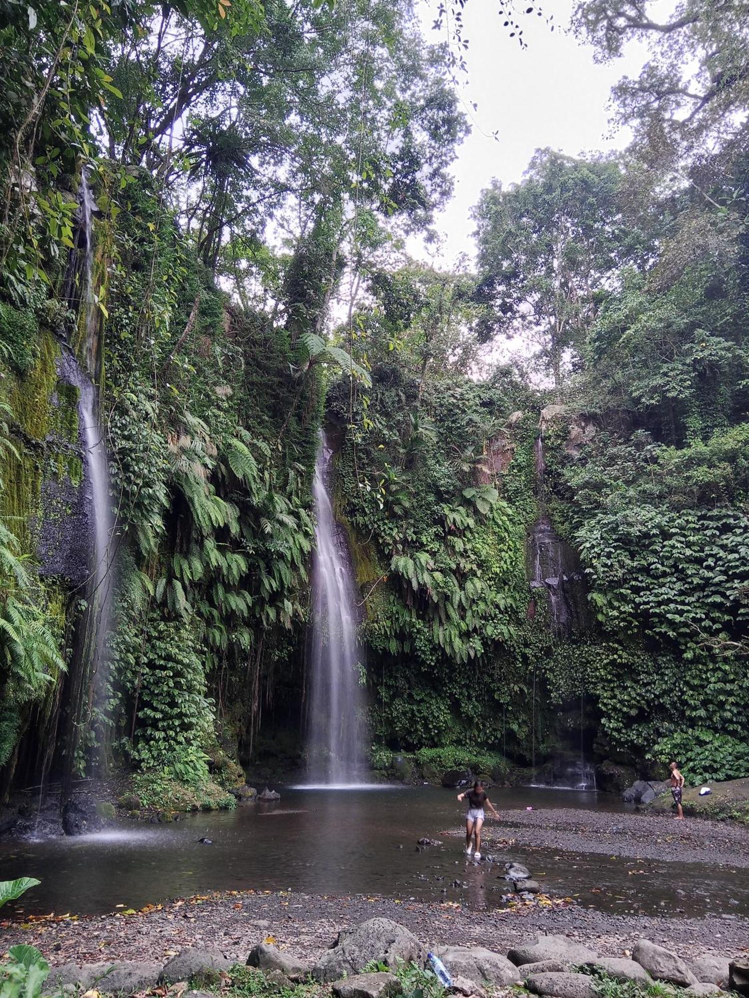 Linkgreen Homestay Lombok Tetebatu Rum bild