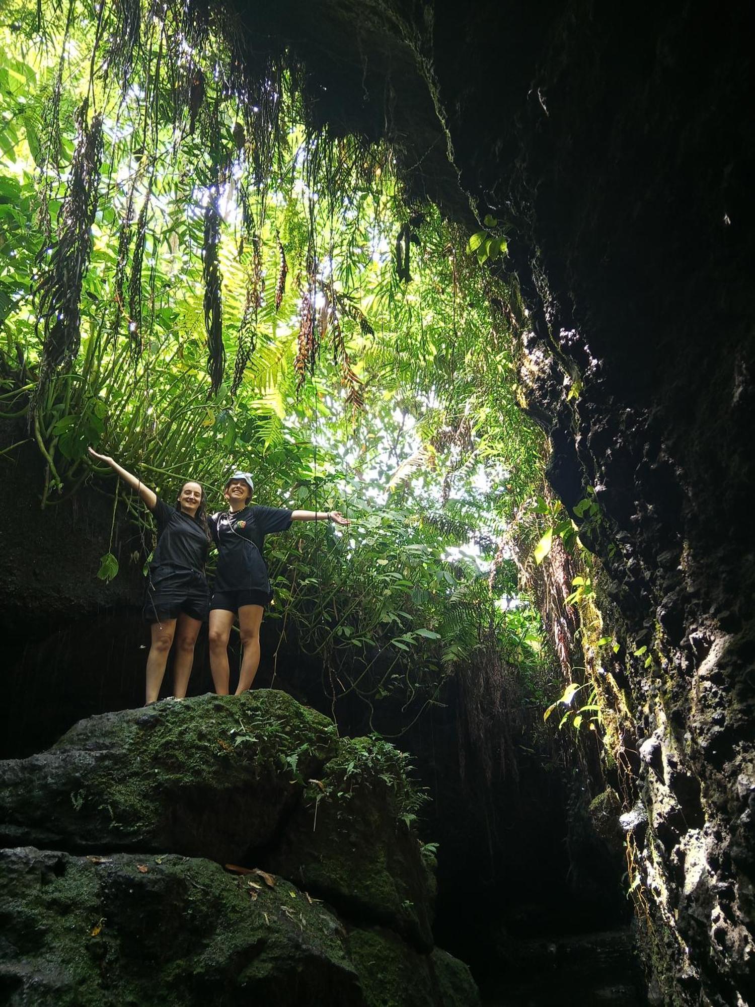 Linkgreen Homestay Lombok Tetebatu Rum bild